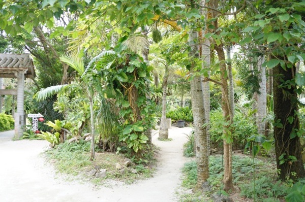 ひたすらジャングルのような道を歩ける園内