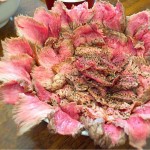 [Å] がぶ（武蔵小山）でお肉の花が咲く！絶品レア肉「がぶ丼」を食べてきた