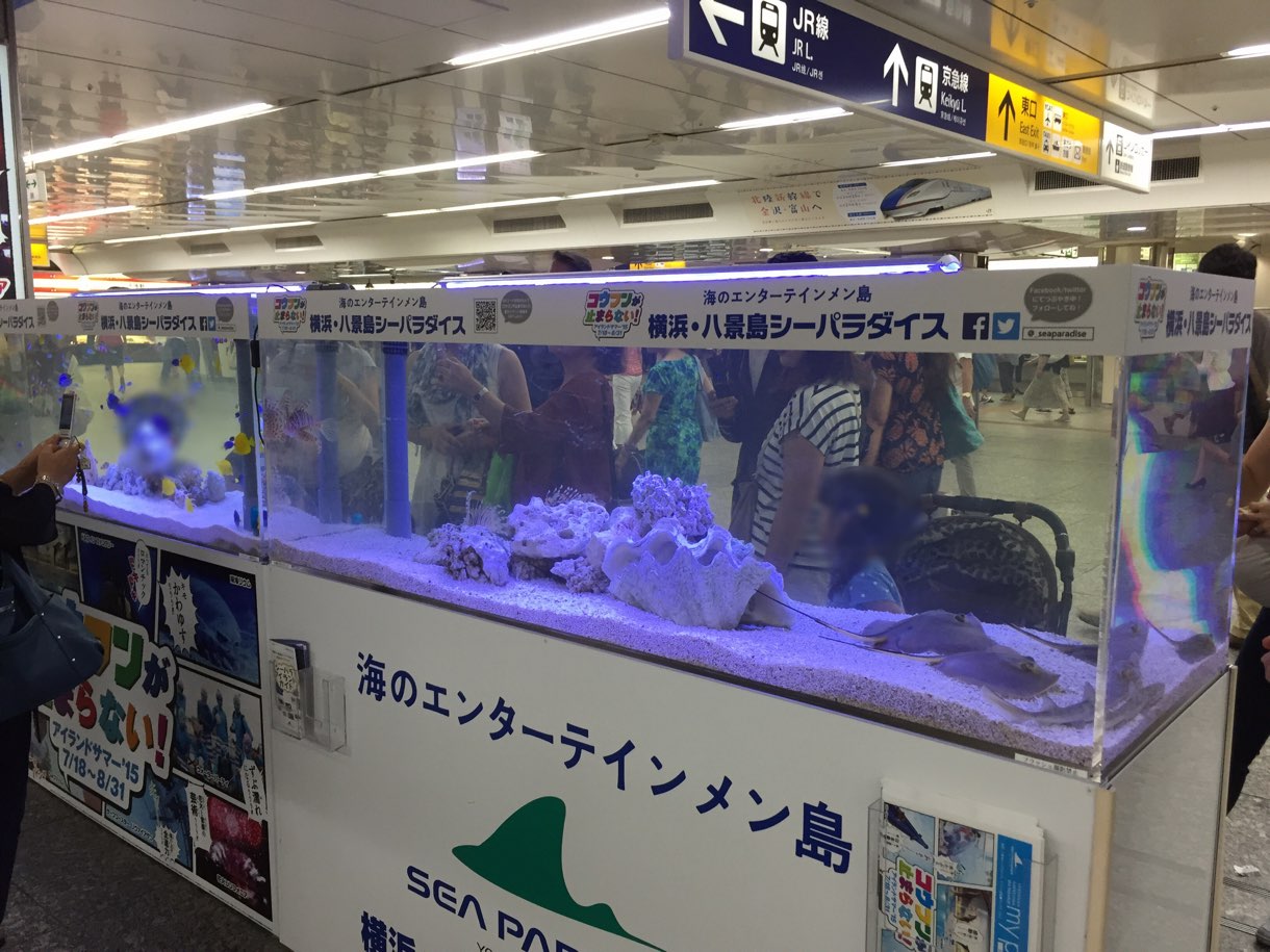 横浜駅の横浜・八景島シーパラダイスの水槽