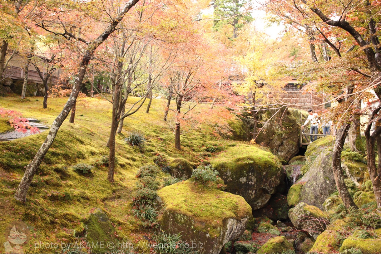箱根美術館 紅葉散策