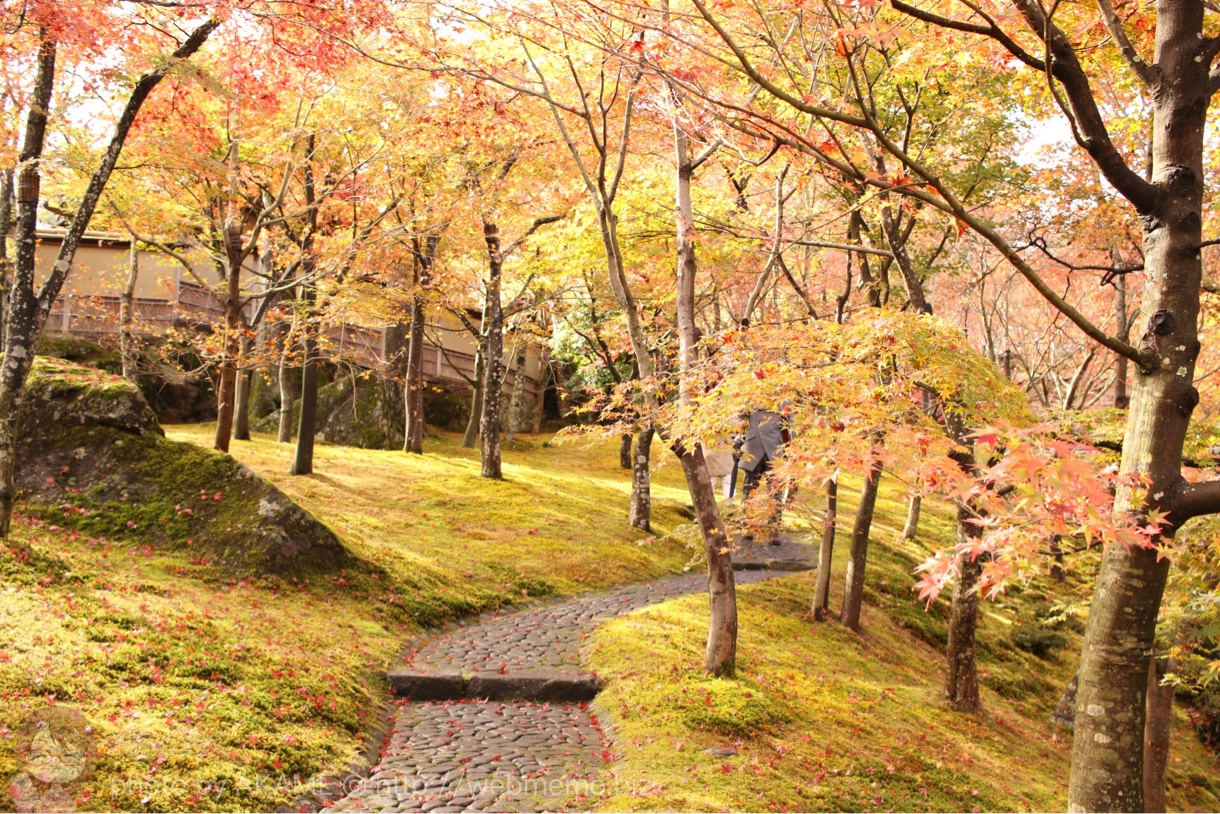 箱根美術館 紅葉の様子