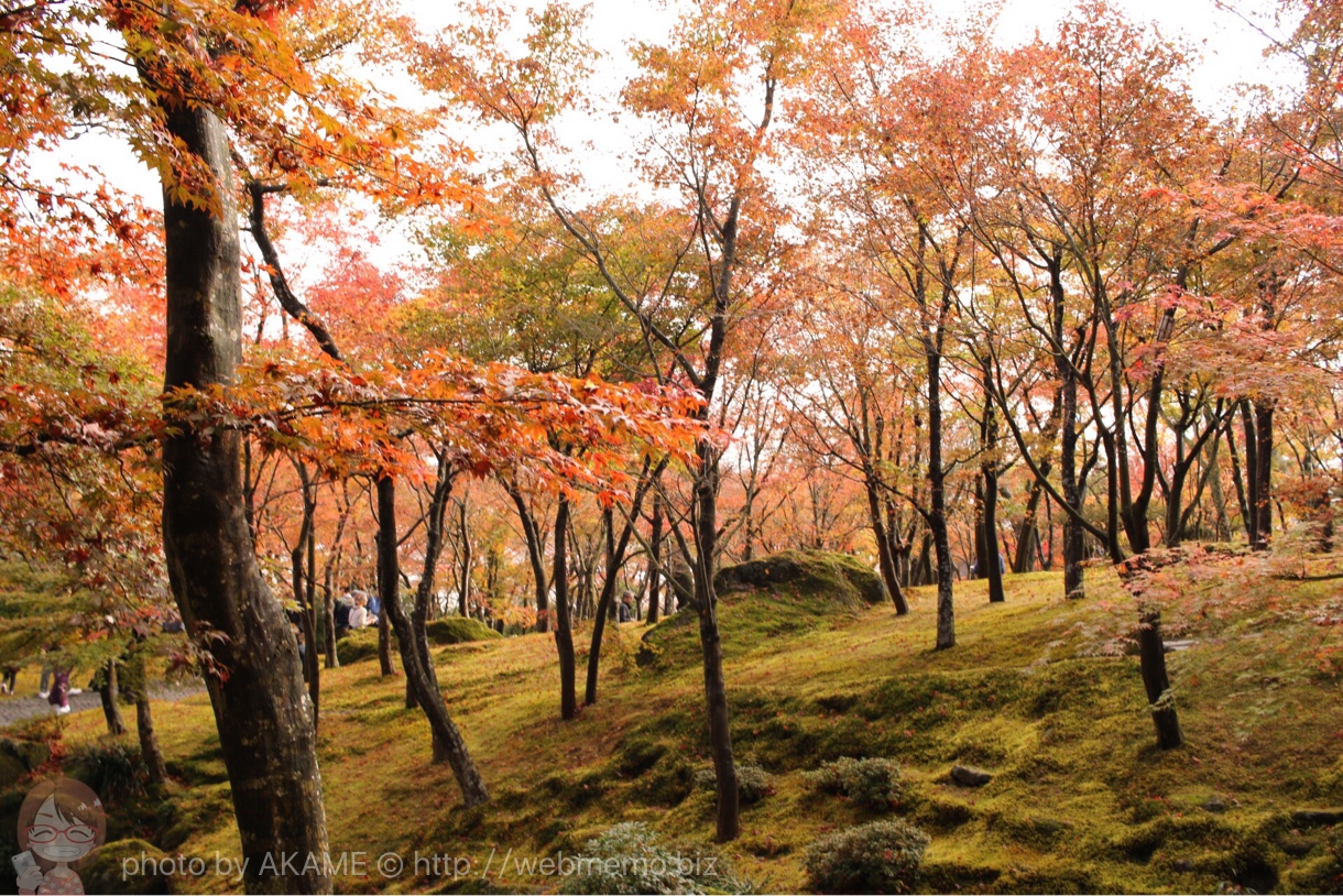 箱根美術館 紅葉の様子