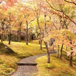 [Å] 箱根美術館の紅葉が一面に広がる姿は圧巻！見応え抜群の紅葉スポット