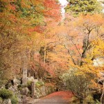 [Å] 箱根の紅葉名所「長安寺」の紅葉散策が楽しい！芦ノ湖とセットがおすすめ