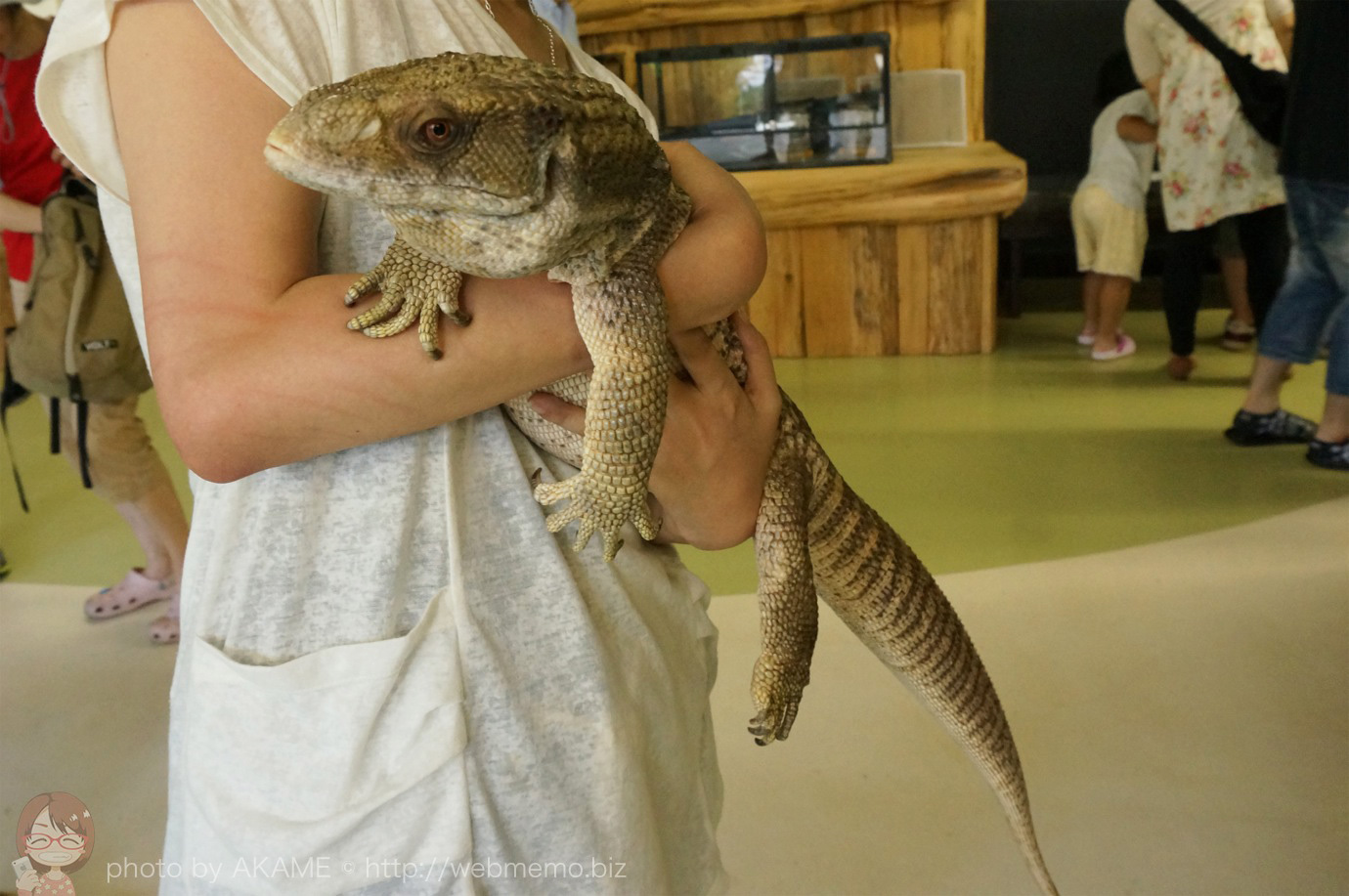 A 日本初 Izoo イズー は爬虫類と触れ合える大興奮の体感型動物園 伊豆観光 あかめ女子のwebメモ