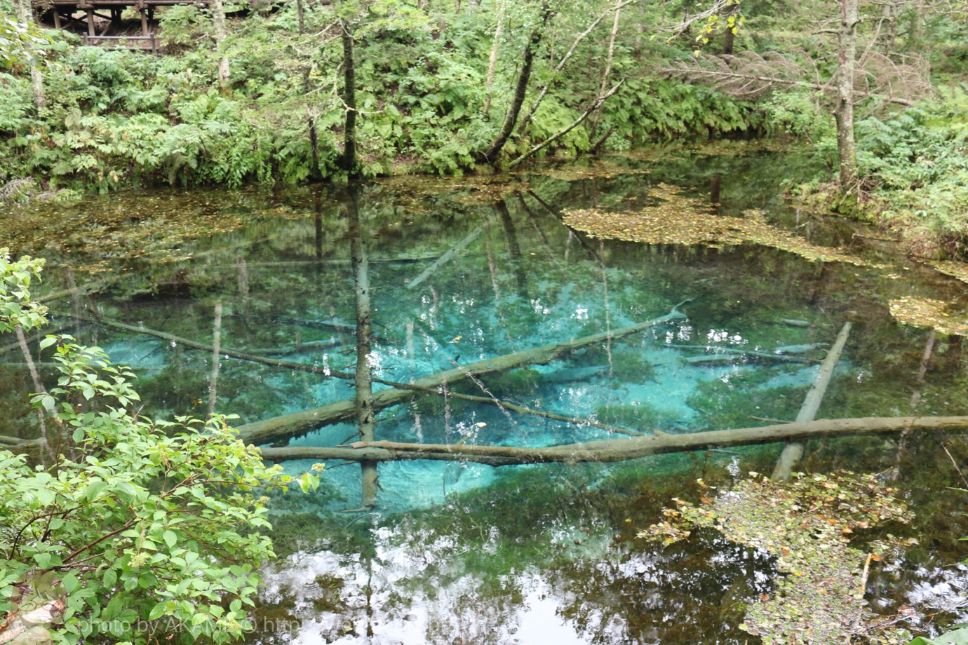 神秘的すぎる！コバルトブルーの「神の子池」は誰もが見惚れる（北海道・清里）