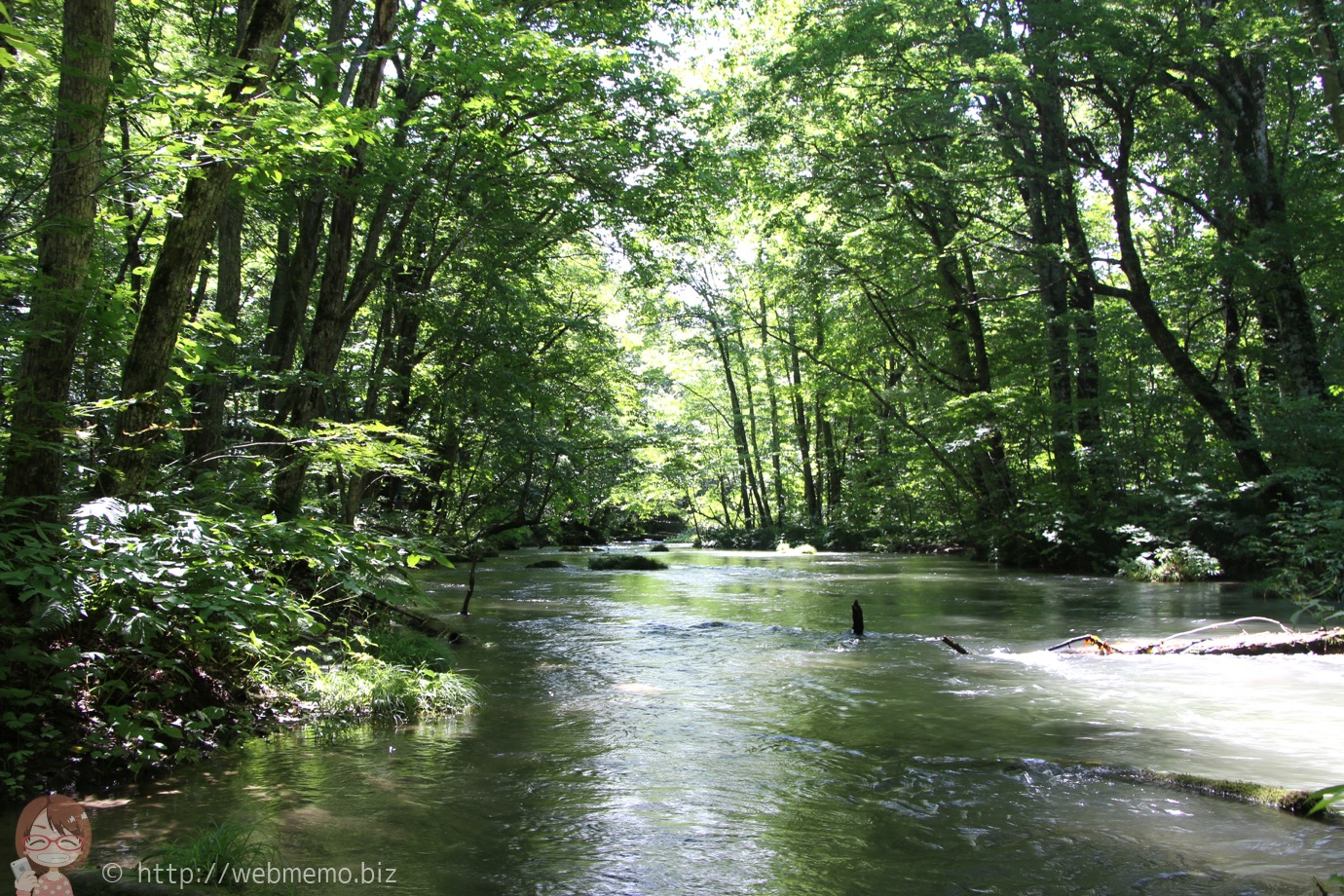 青森県「奥入瀬渓流」8.9キロ散策してジブリ感ある大自然の緑と渓流に癒された！