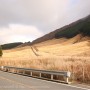 [Å] 箱根の紅葉に行くなら見たい「仙石原」の黄金のススキ草原！