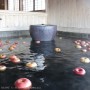 [Å] りんごが浮く不思議な温泉！島崎藤村ゆかりの宿「中棚荘」に宿泊（長野県・小諸）