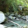 神奈川県 丹沢の秘境「大滝」をハイキング！驚愕の透明度を体験できる超穴場スポット