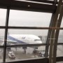 [Å] 今年2回目の福岡うまみ会に行ってくる！